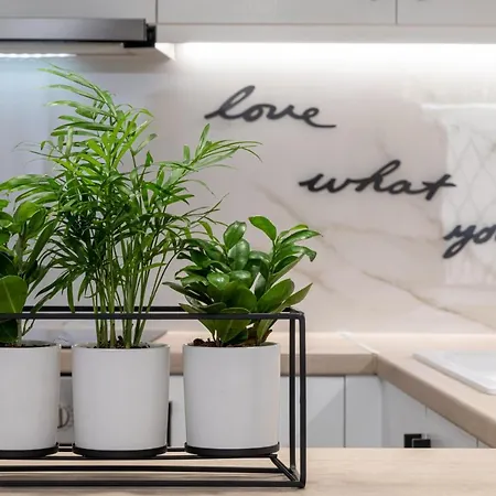 Sandra's Luxury Apartamento